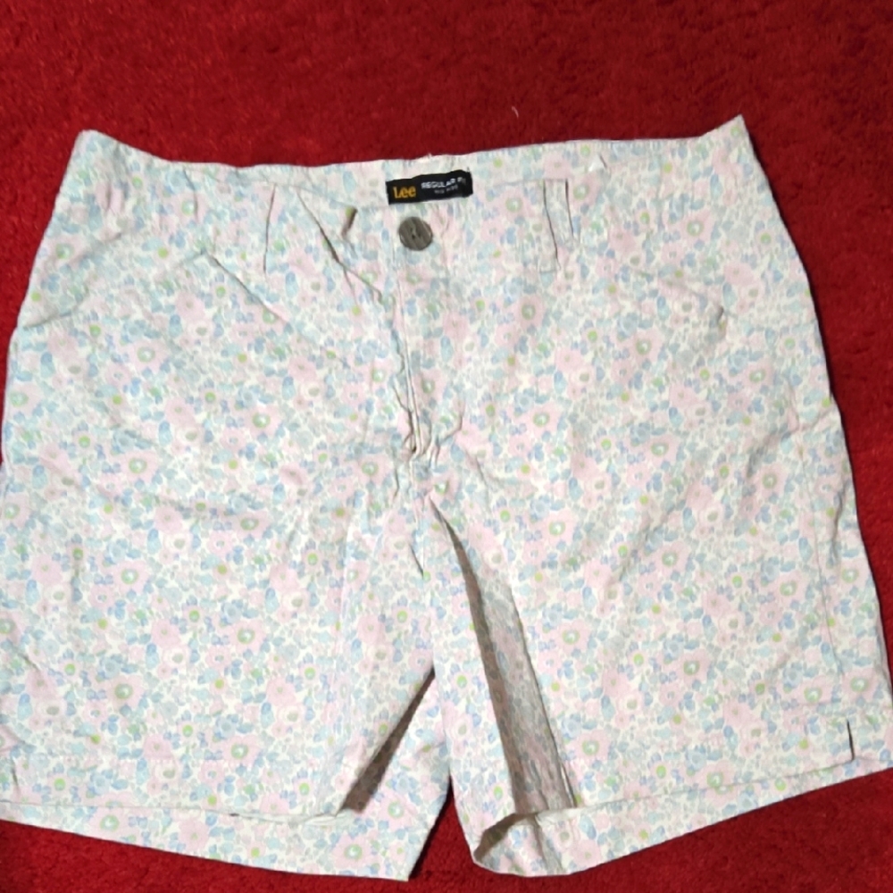 Lee Pink and Blue Bermudas Casual Shorts